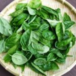 バジルの収穫はどこから抜くの？方法や時期などを検証