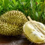 ドリアンの匂いを消す6つの裏技!手についたニオイを簡単に落とす方法も伝授